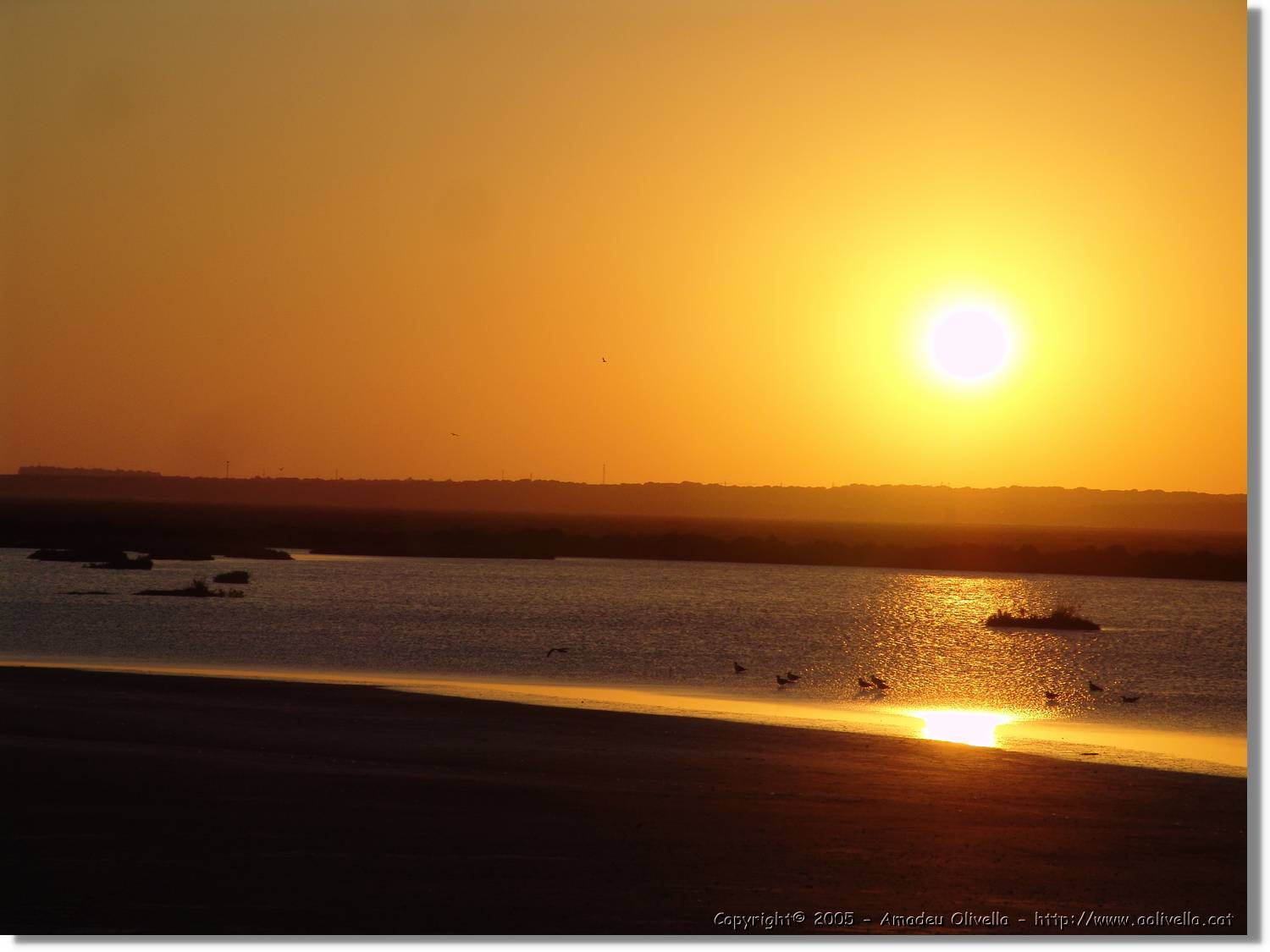 5Huelva_348.jpg