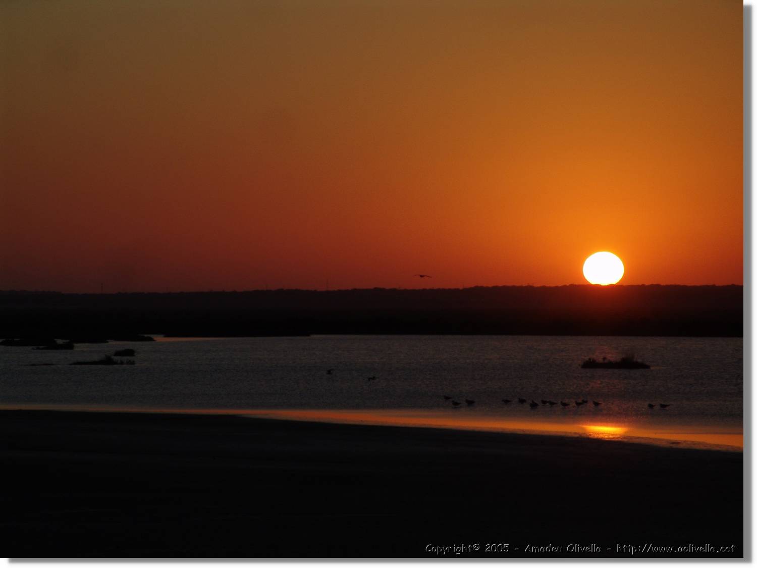 5Huelva_352.jpg