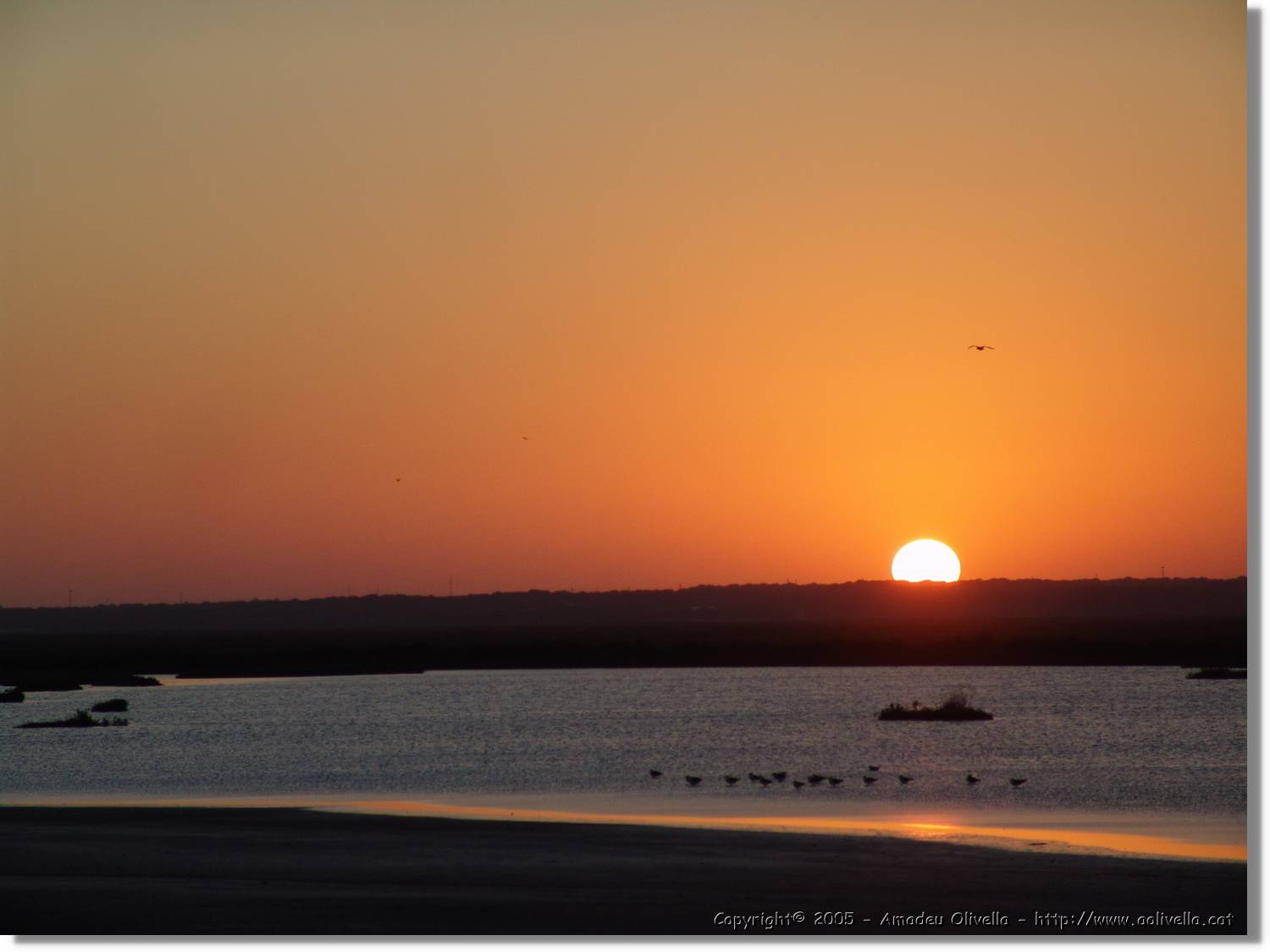 5Huelva_353.jpg
