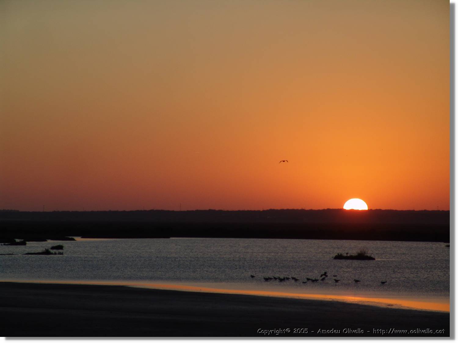 5Huelva_354.jpg