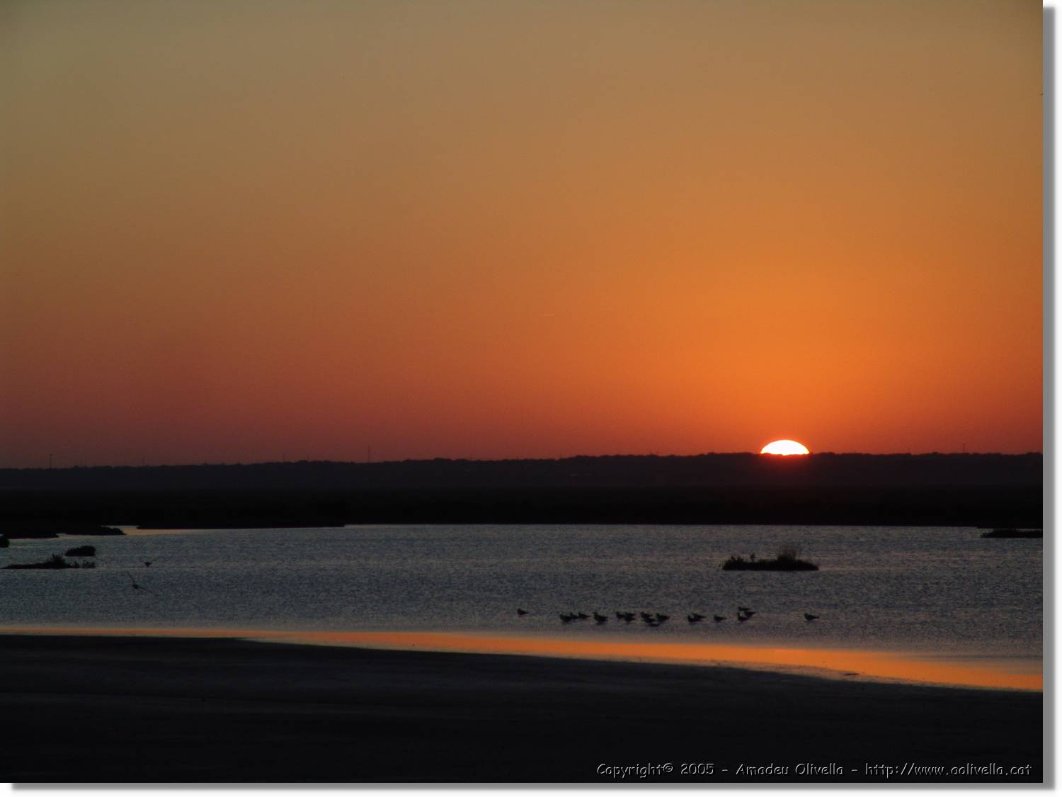 5Huelva_355.jpg
