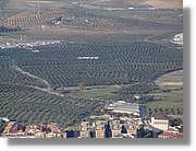 4Jaen_273.jpg