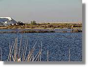 5Huelva_295.jpg