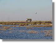 5Huelva_296.jpg