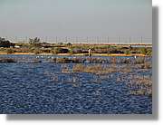 5Huelva_298.jpg