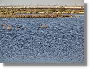 5Huelva_303.jpg