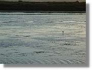 5Huelva_328.jpg