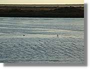 5Huelva_329.jpg