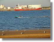 5Huelva_334.jpg