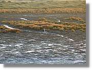 5Huelva_341.jpg