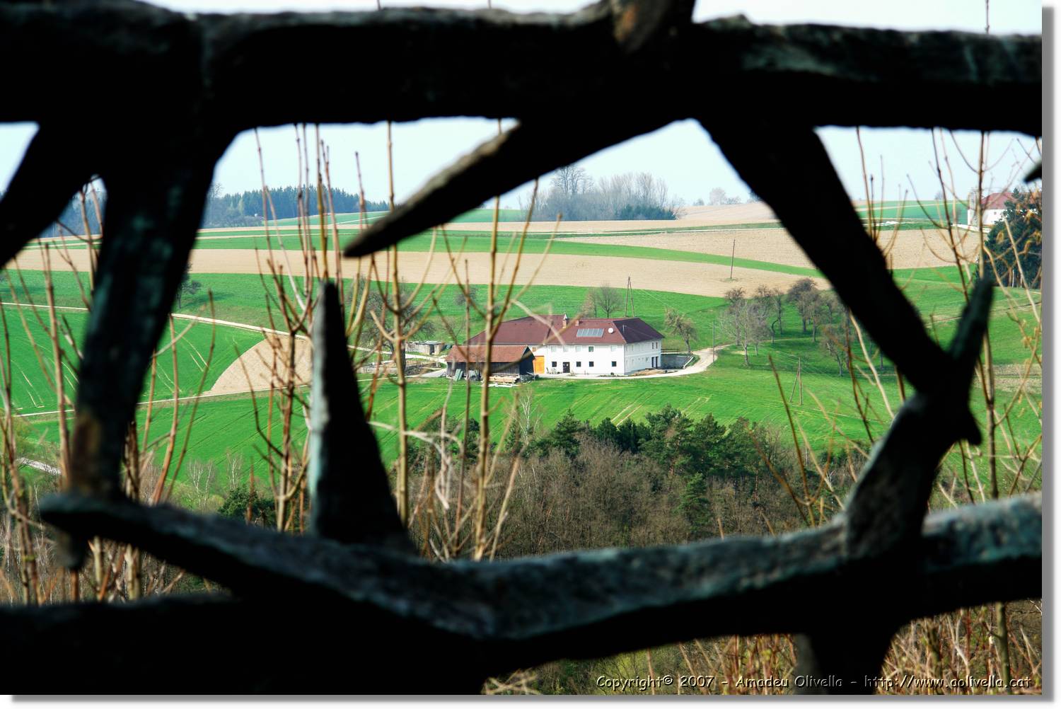 Mauthausen_13.jpg