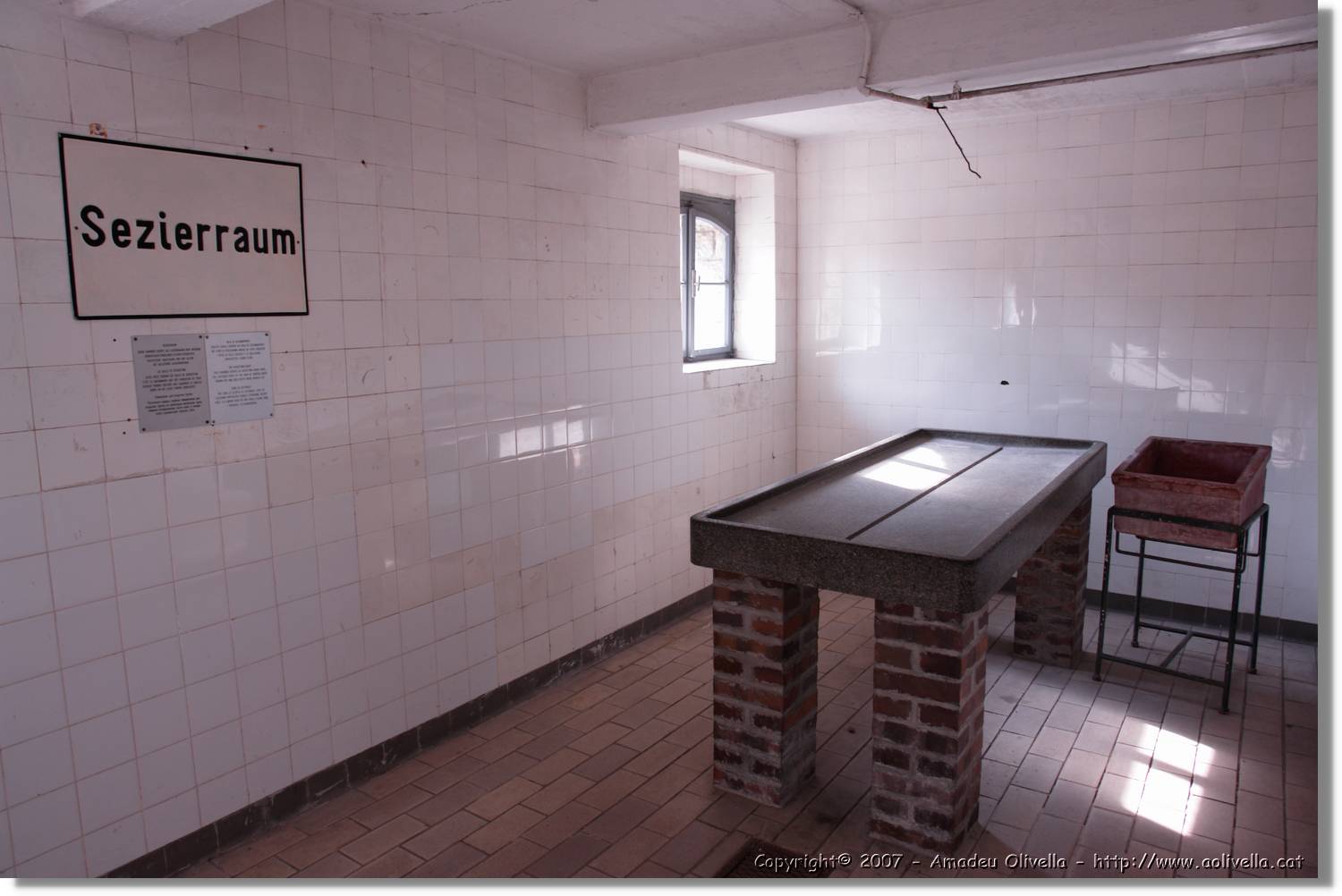 Mauthausen_59.jpg