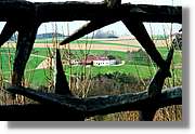 Mauthausen_13.jpg