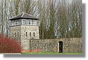 Mauthausen_70.jpg