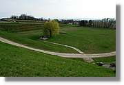 Mauthausen_82.jpg