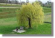 Mauthausen_83.jpg