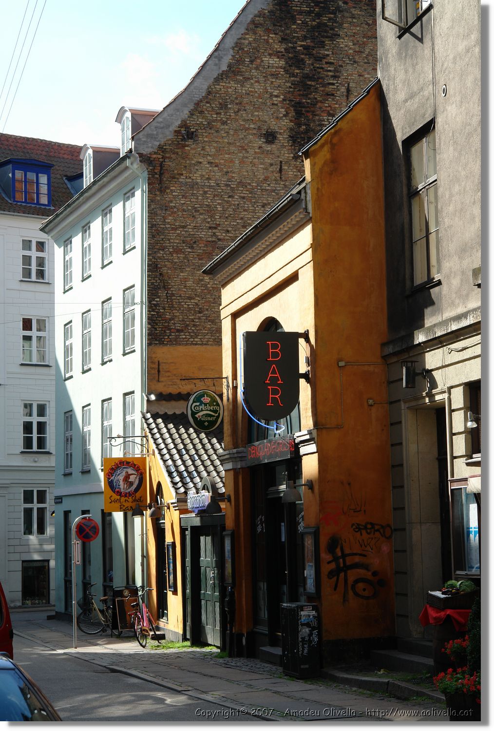Copenhagen_120.jpg