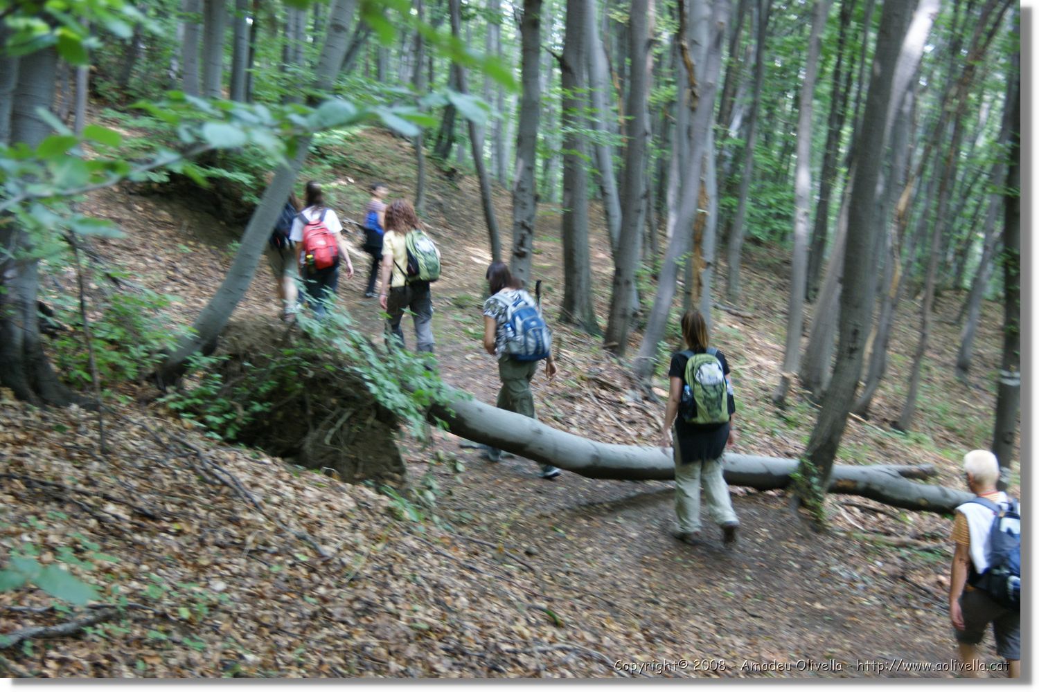 Bulgaria_0045.jpg