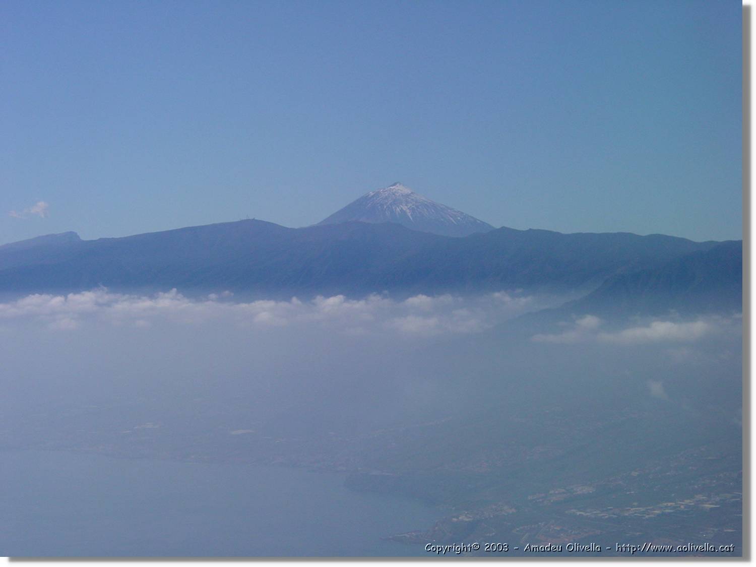 Canaries_04.jpg