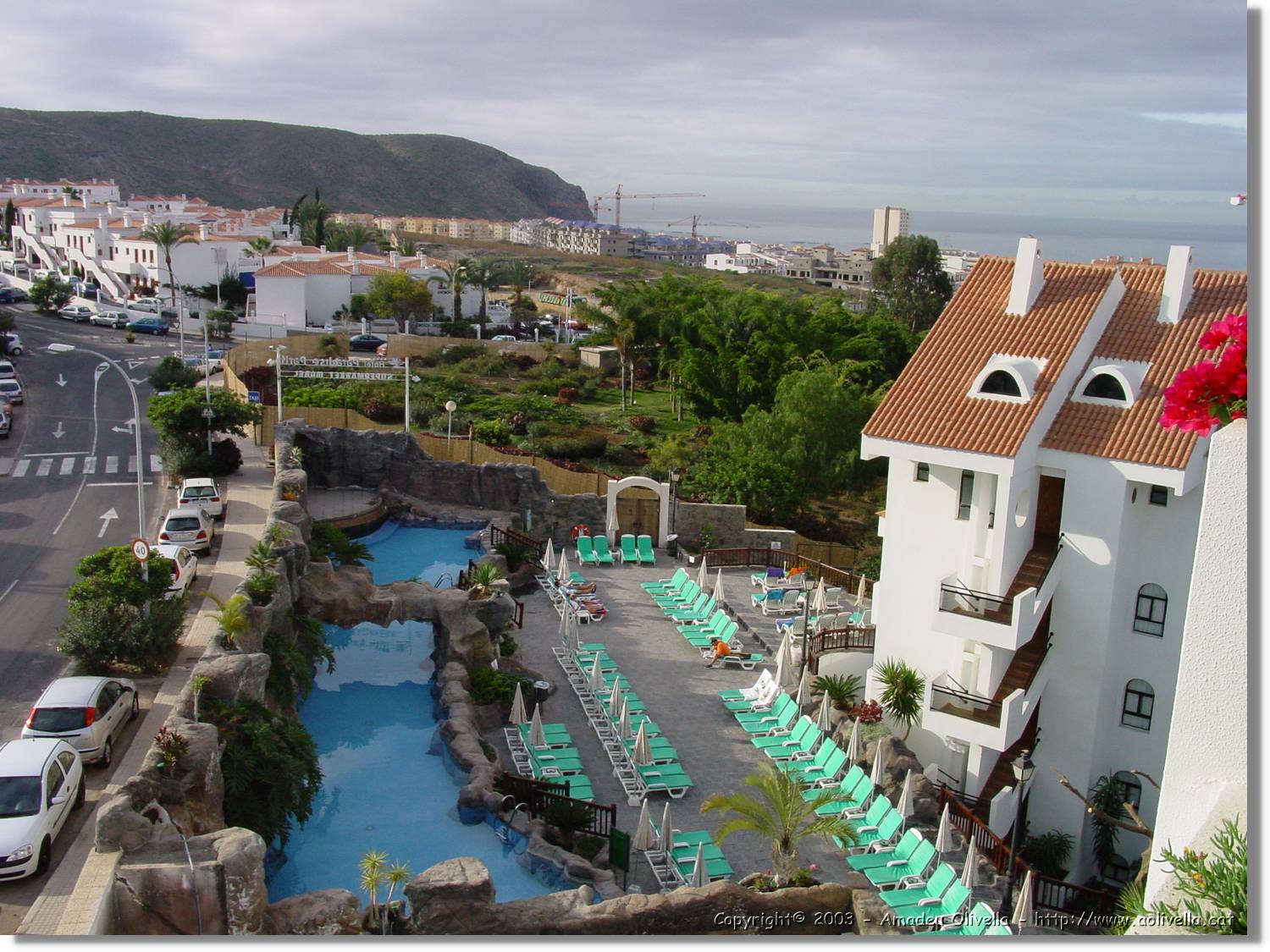 Canaries_08.jpg