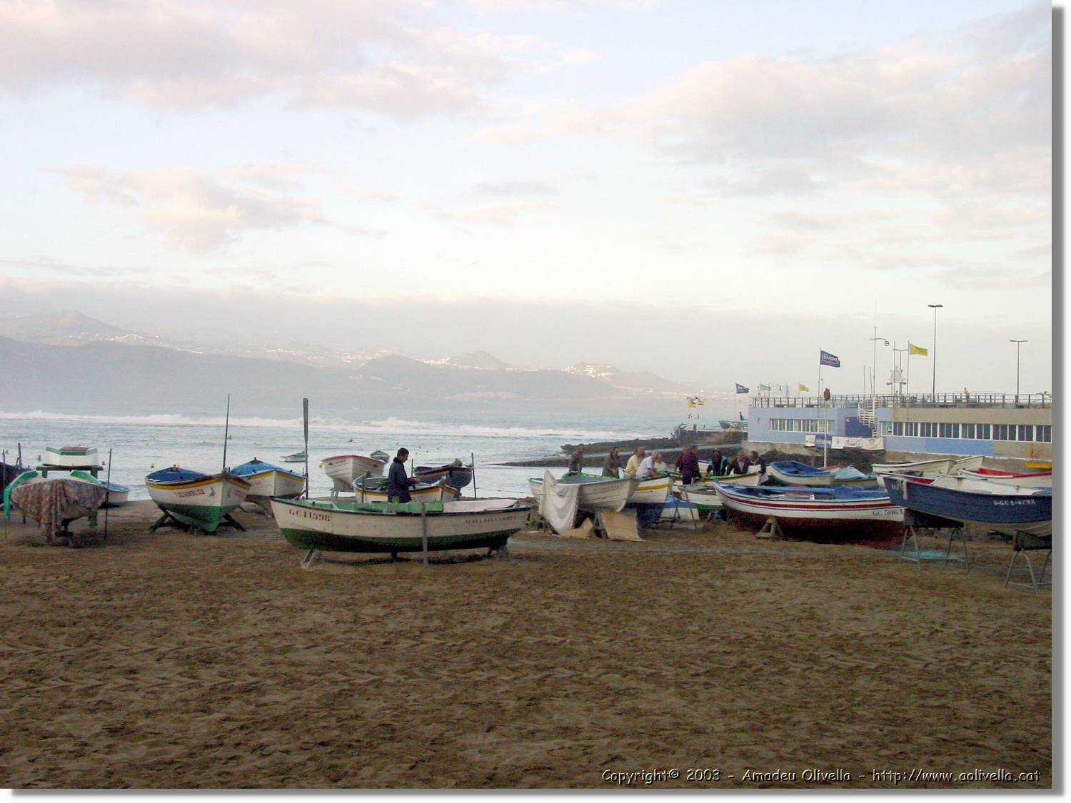 Canaries_14.jpg