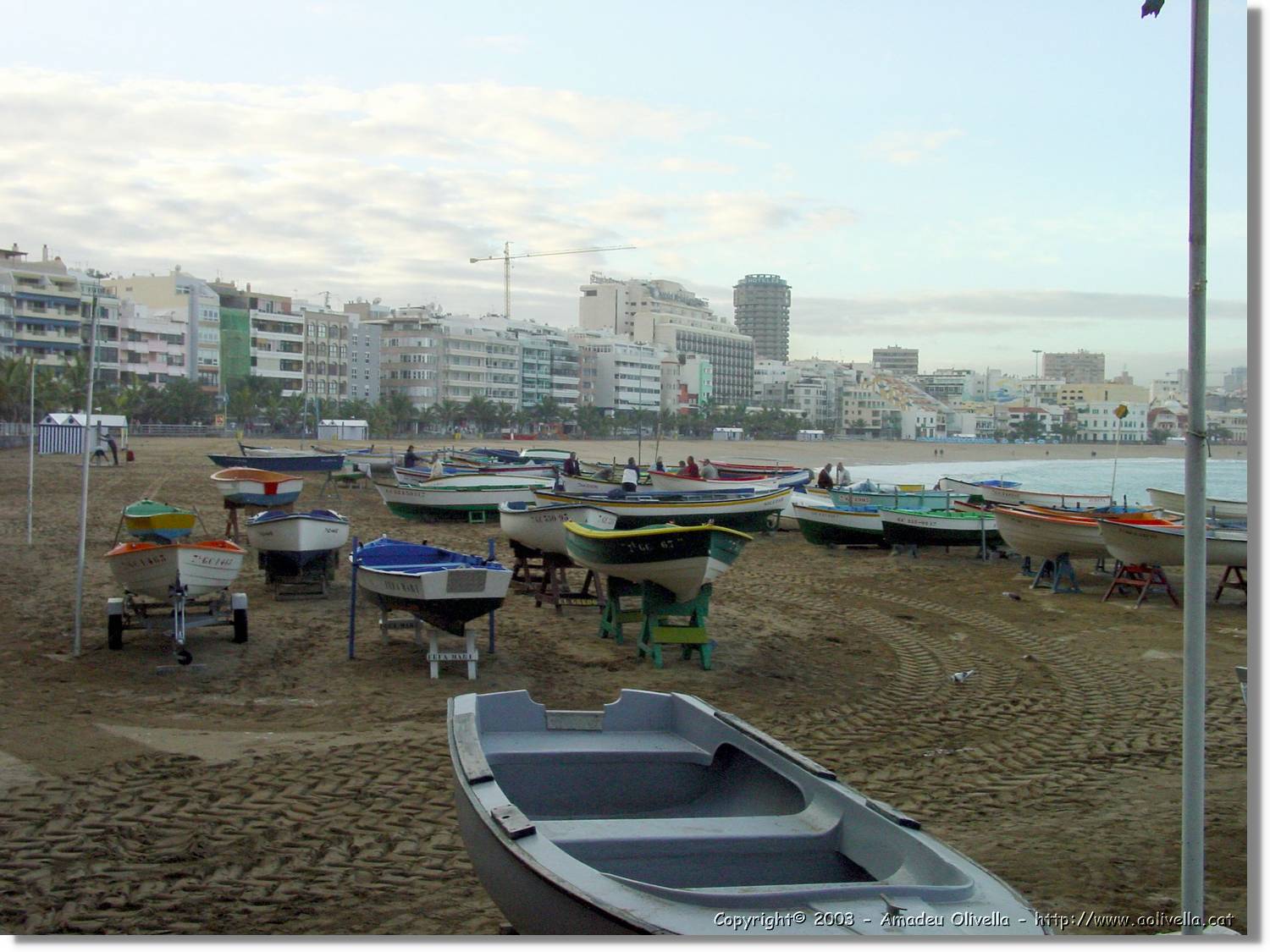 Canaries_15.jpg