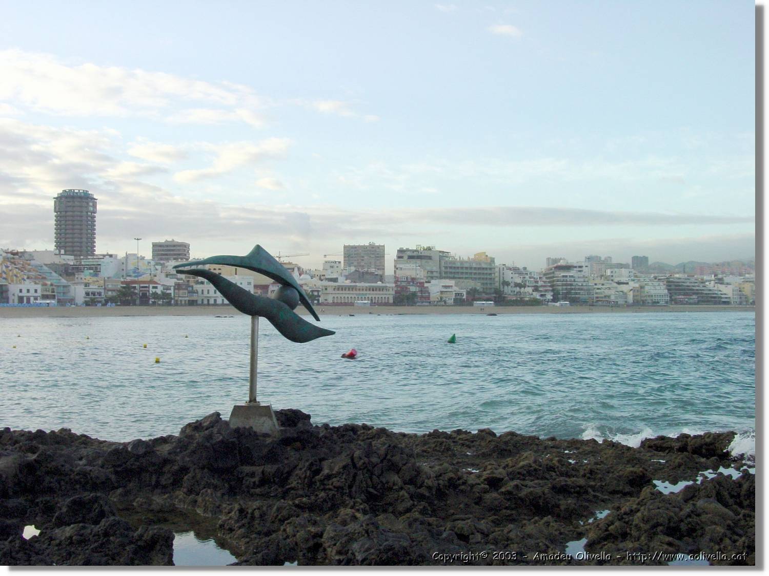 Canaries_17.jpg