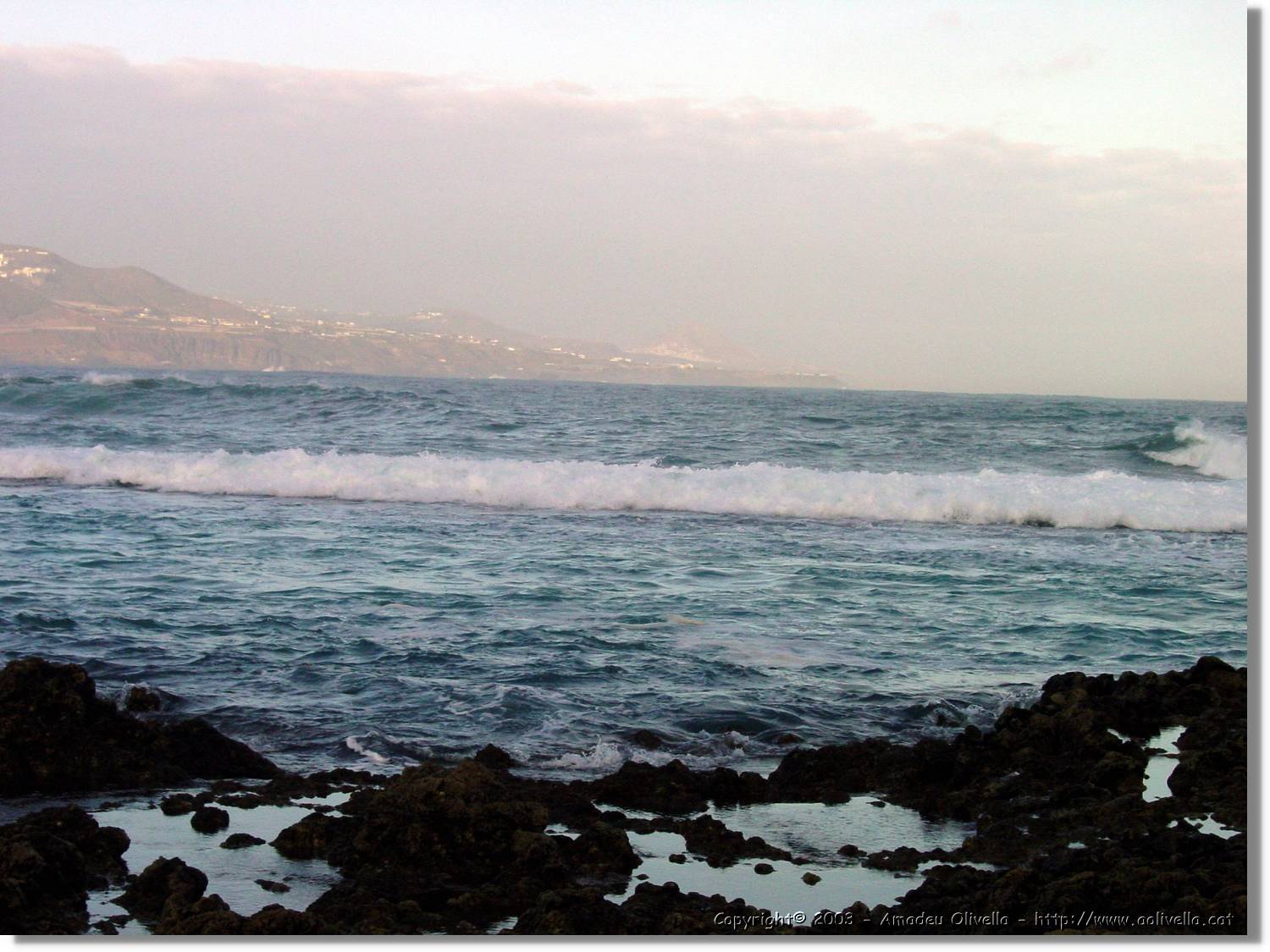 Canaries_23.jpg