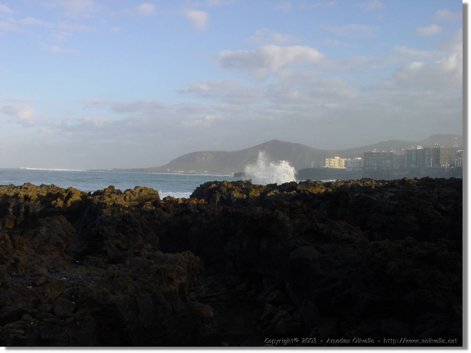 Canaries_45.jpg