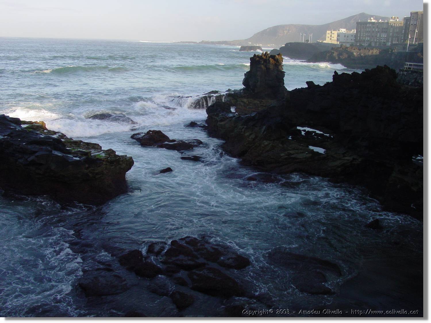 Canaries_55.jpg