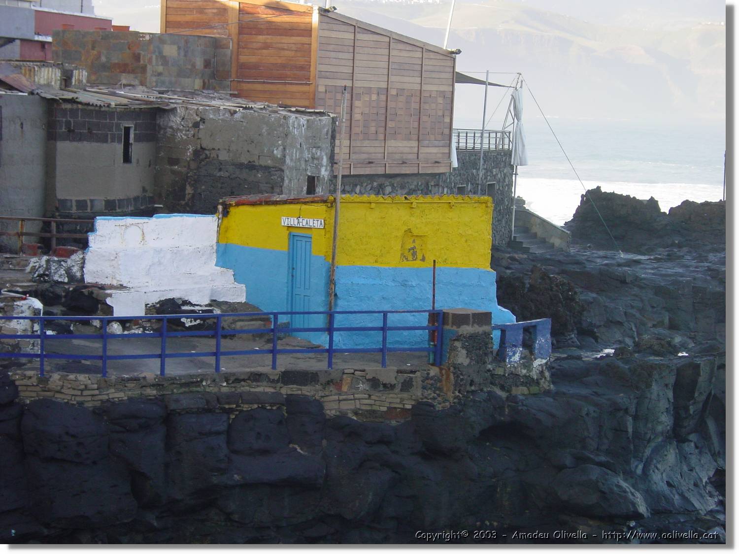 Canaries_56.jpg