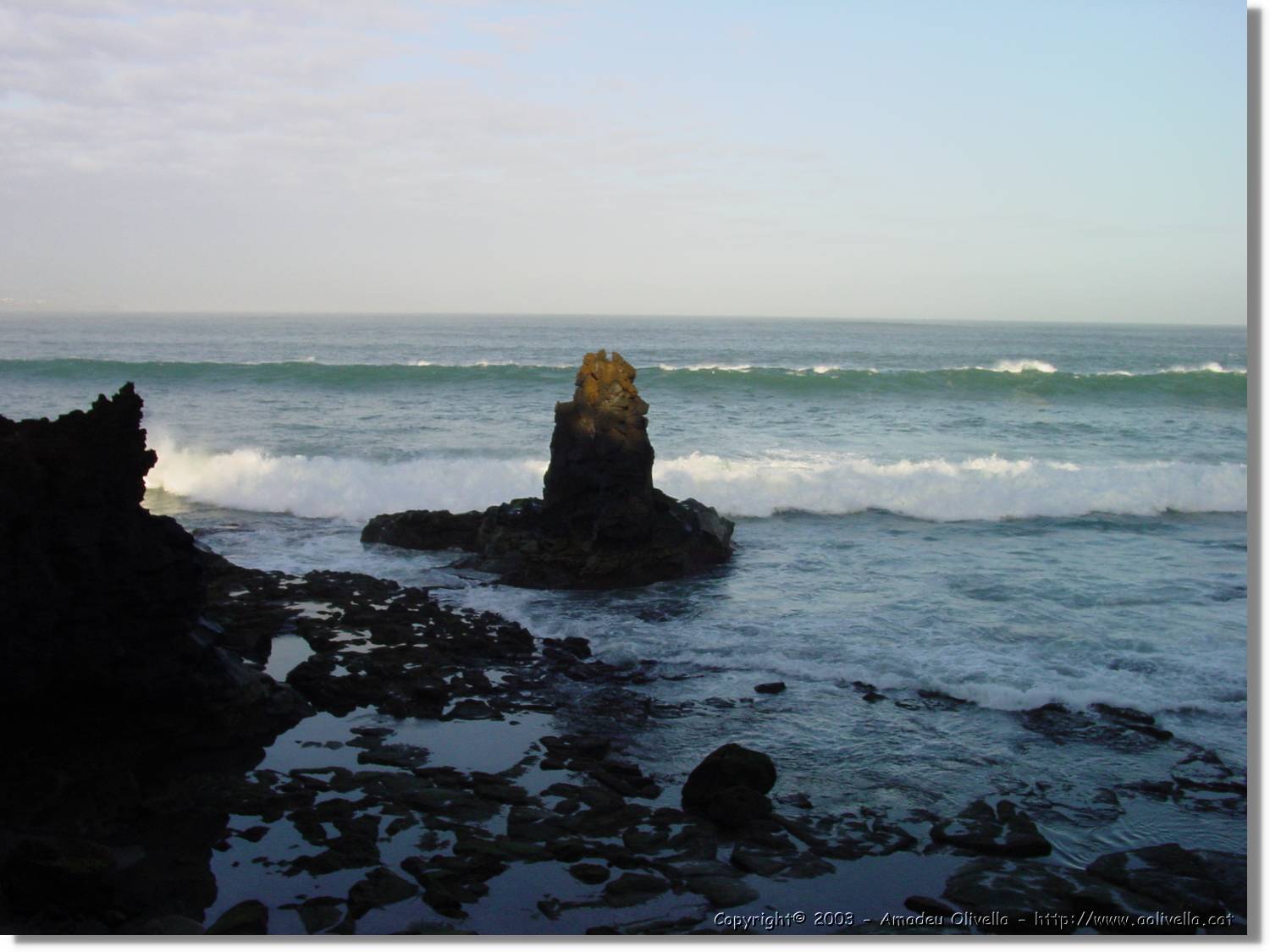 Canaries_60.jpg