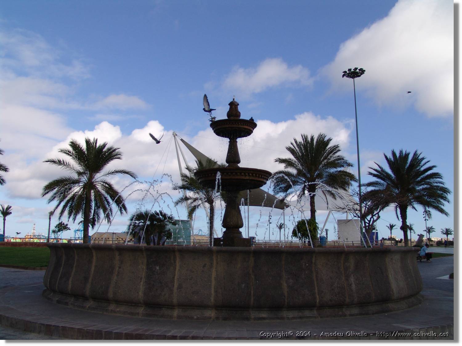 Canaries_057.jpg
