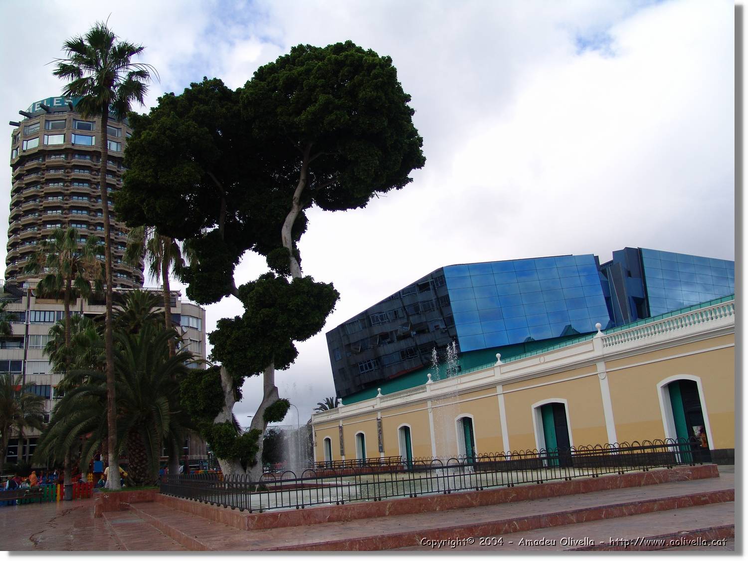 Canaries_060.jpg