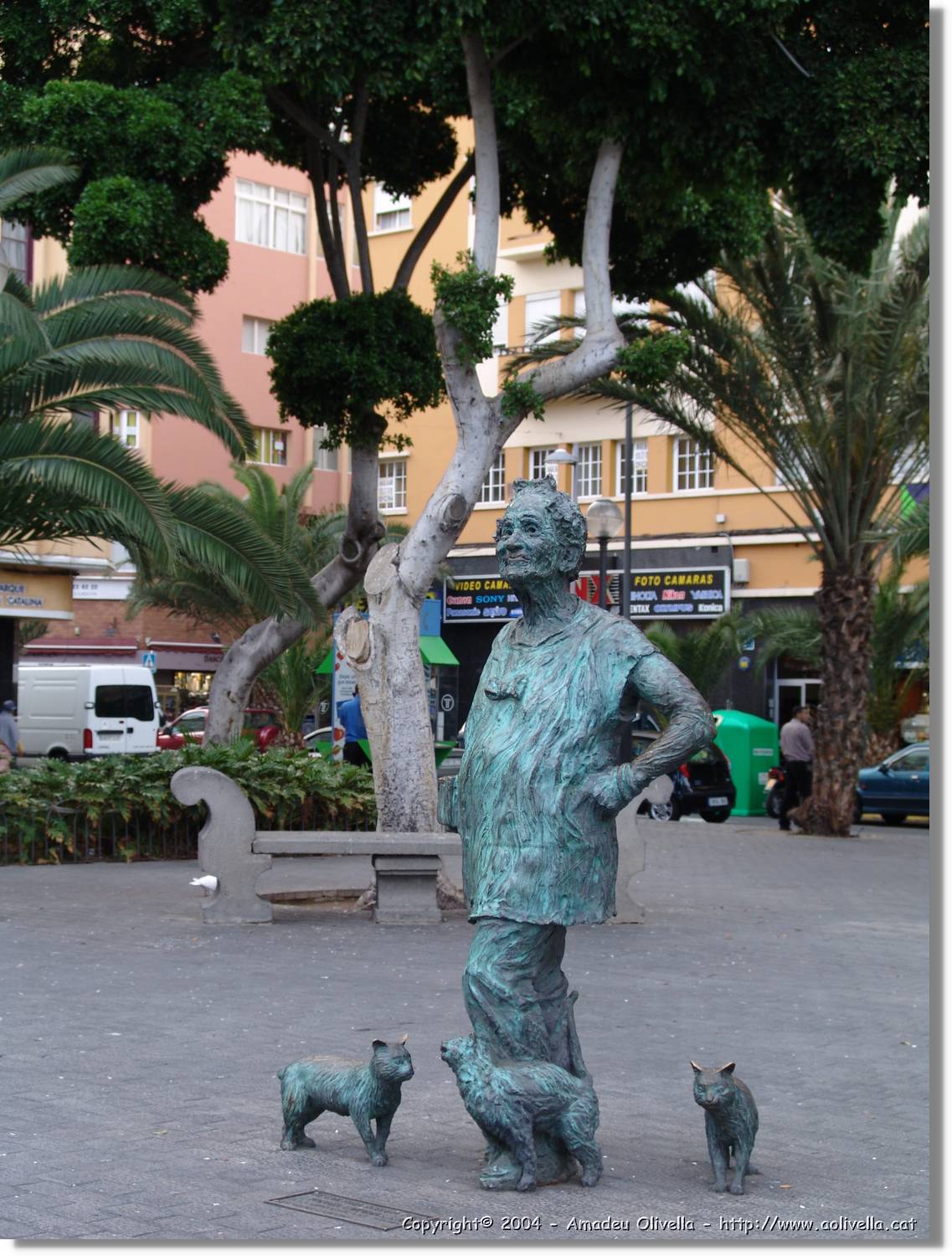 Canaries_061.jpg