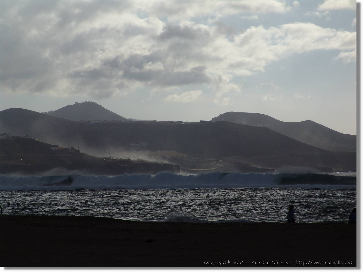 Canaries_062.jpg