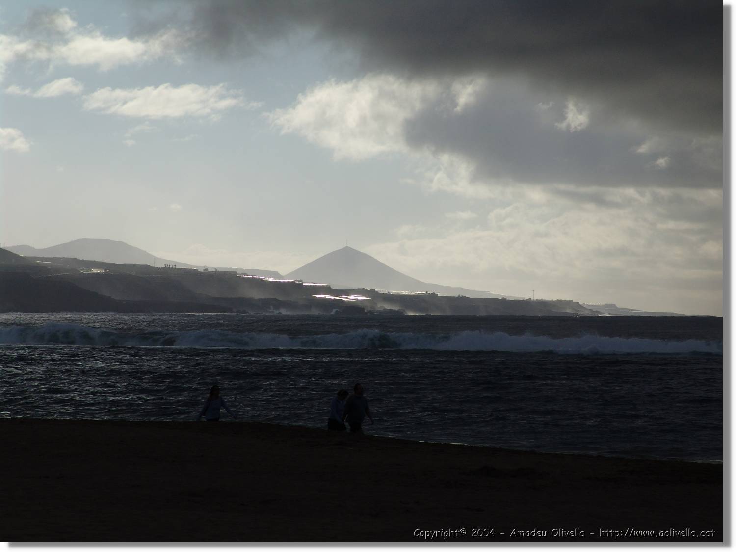 Canaries_063.jpg