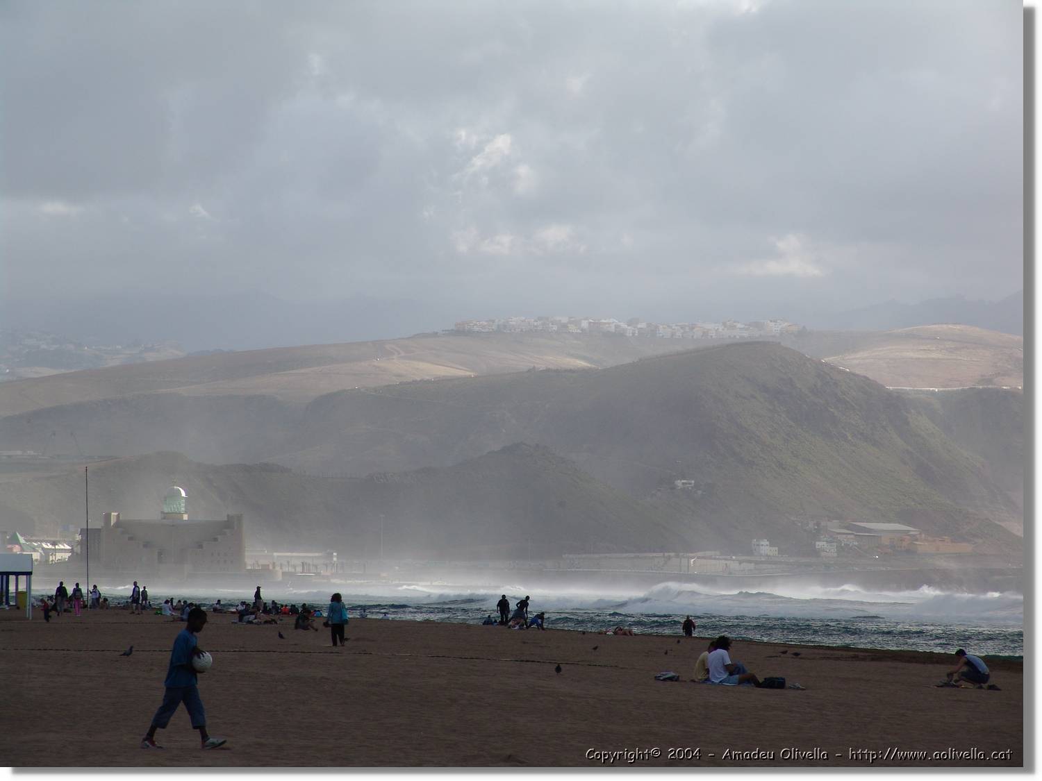 Canaries_064.jpg