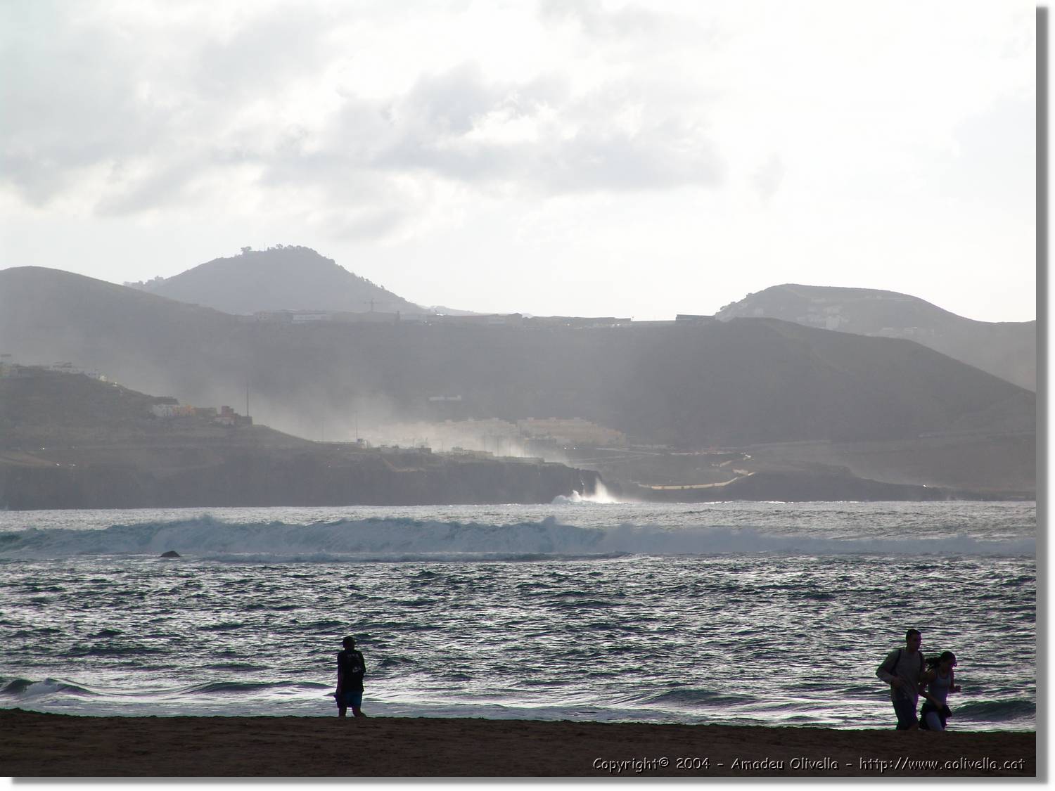 Canaries_065.jpg