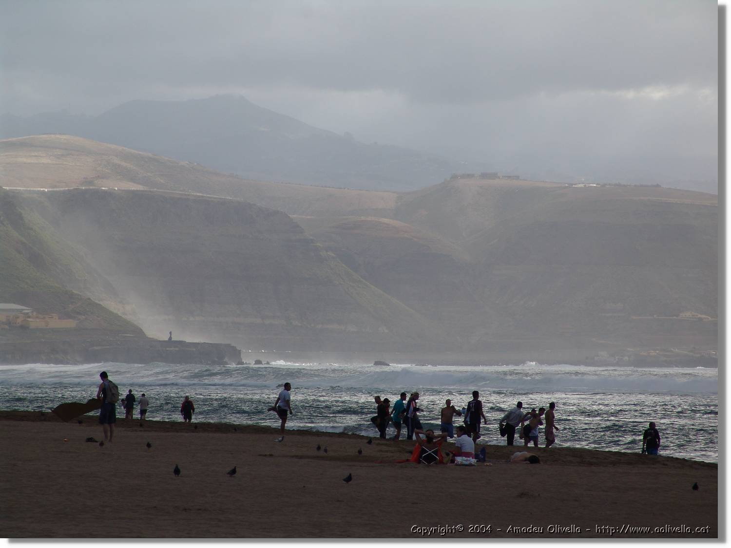Canaries_066.jpg