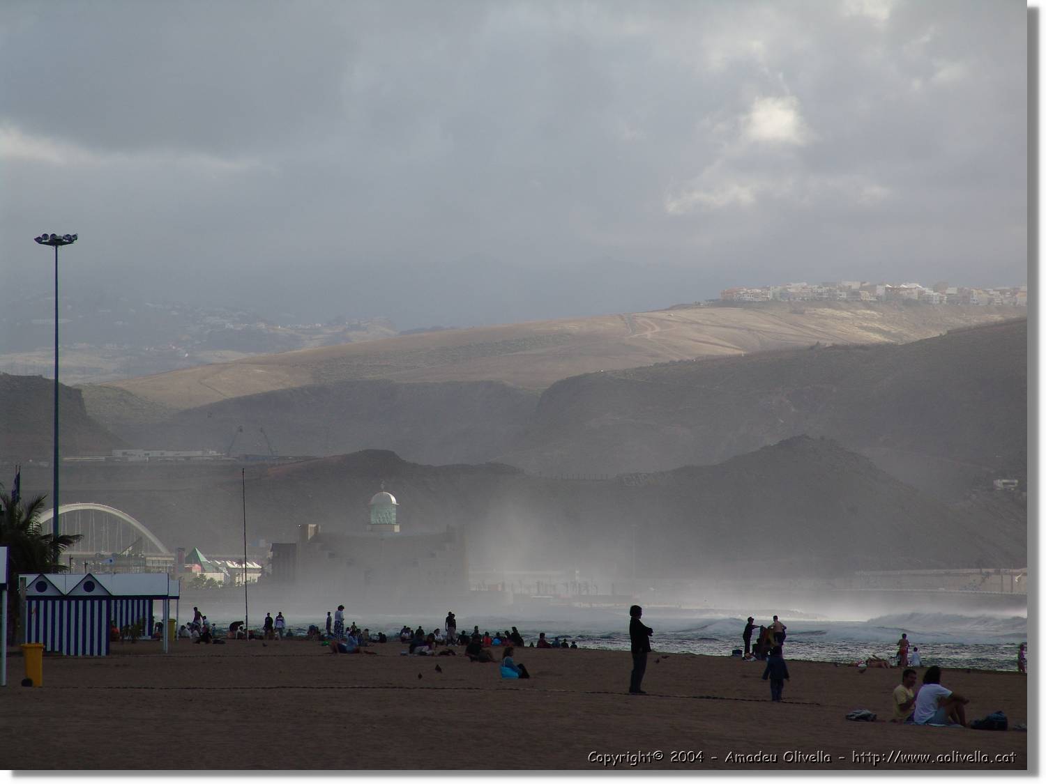 Canaries_067.jpg
