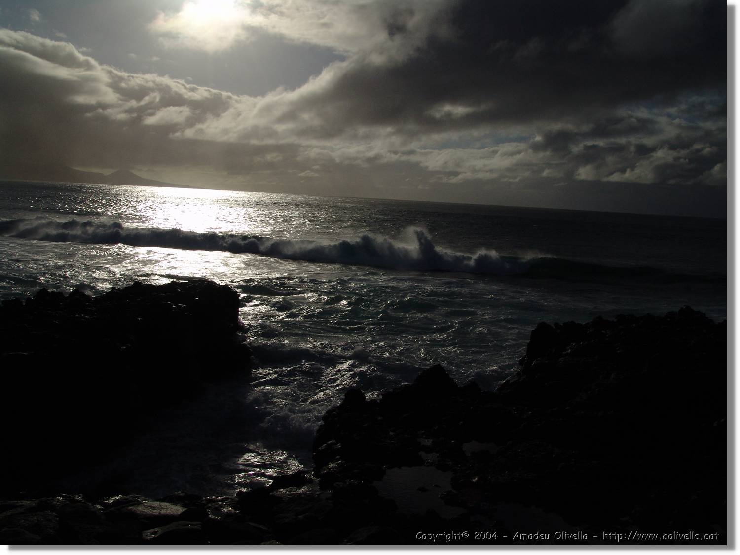 Canaries_070.jpg