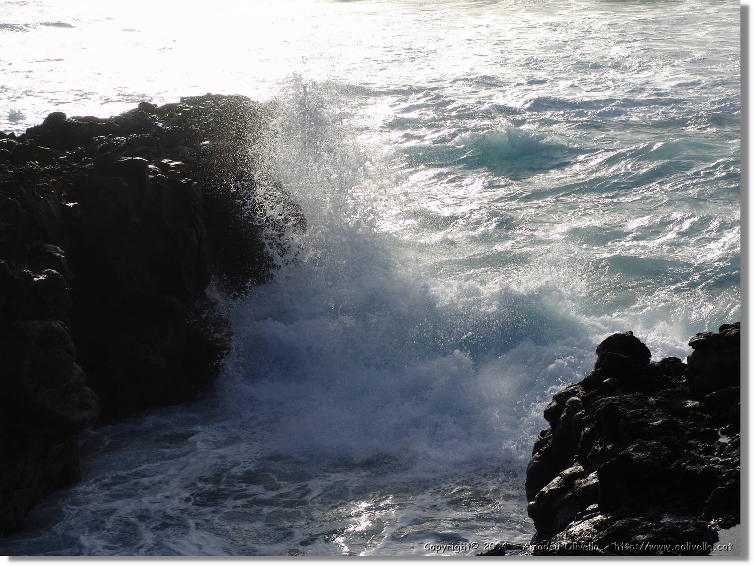 Canaries_071.jpg