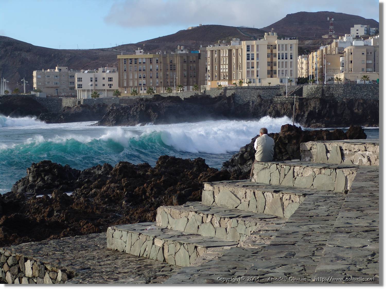 Canaries_072.jpg