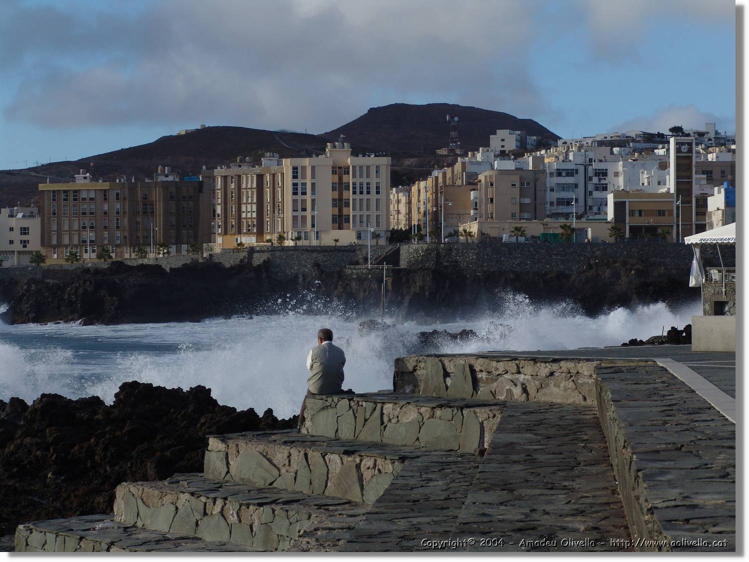Canaries_073.jpg
