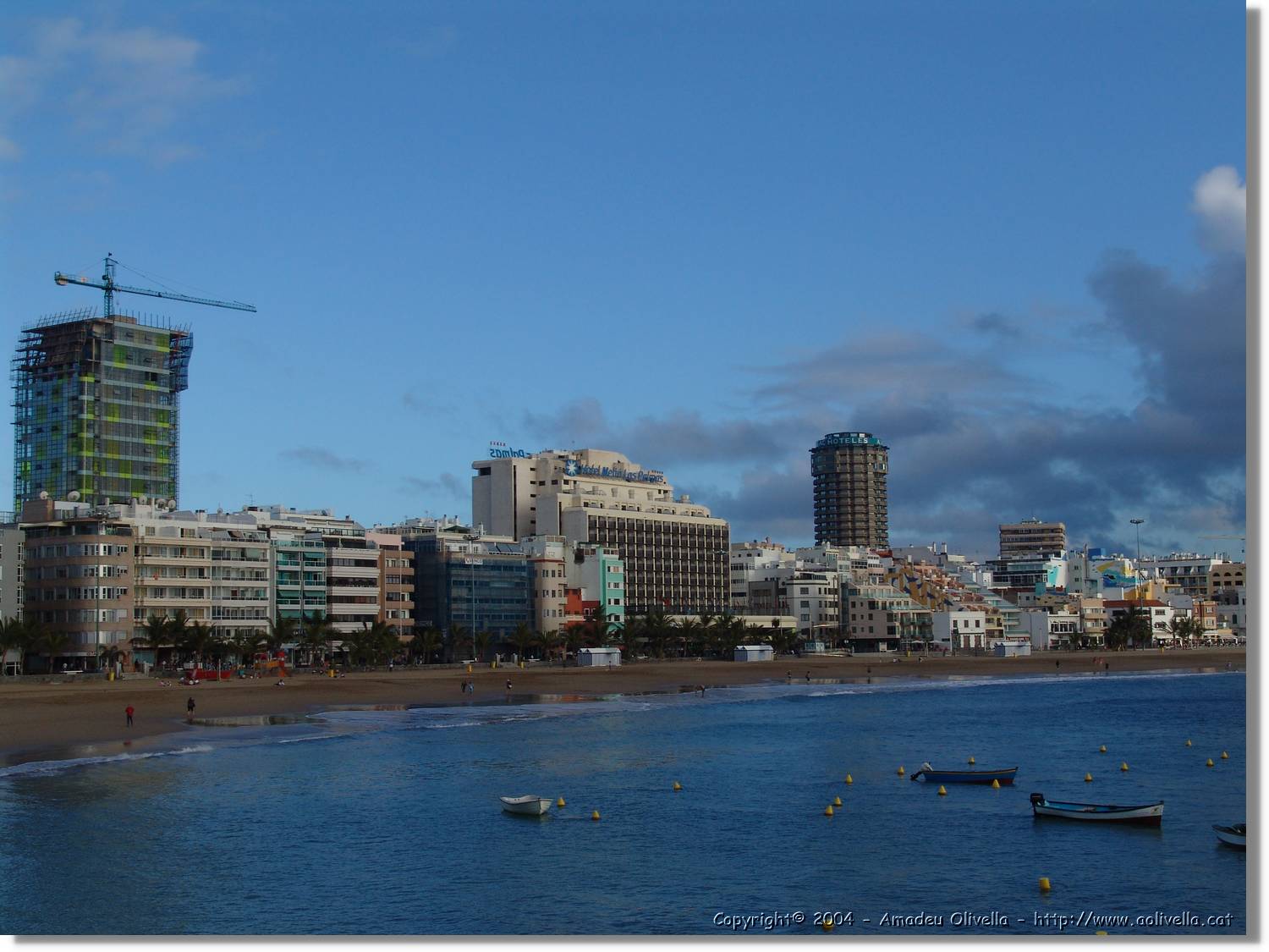 Canaries_075.jpg
