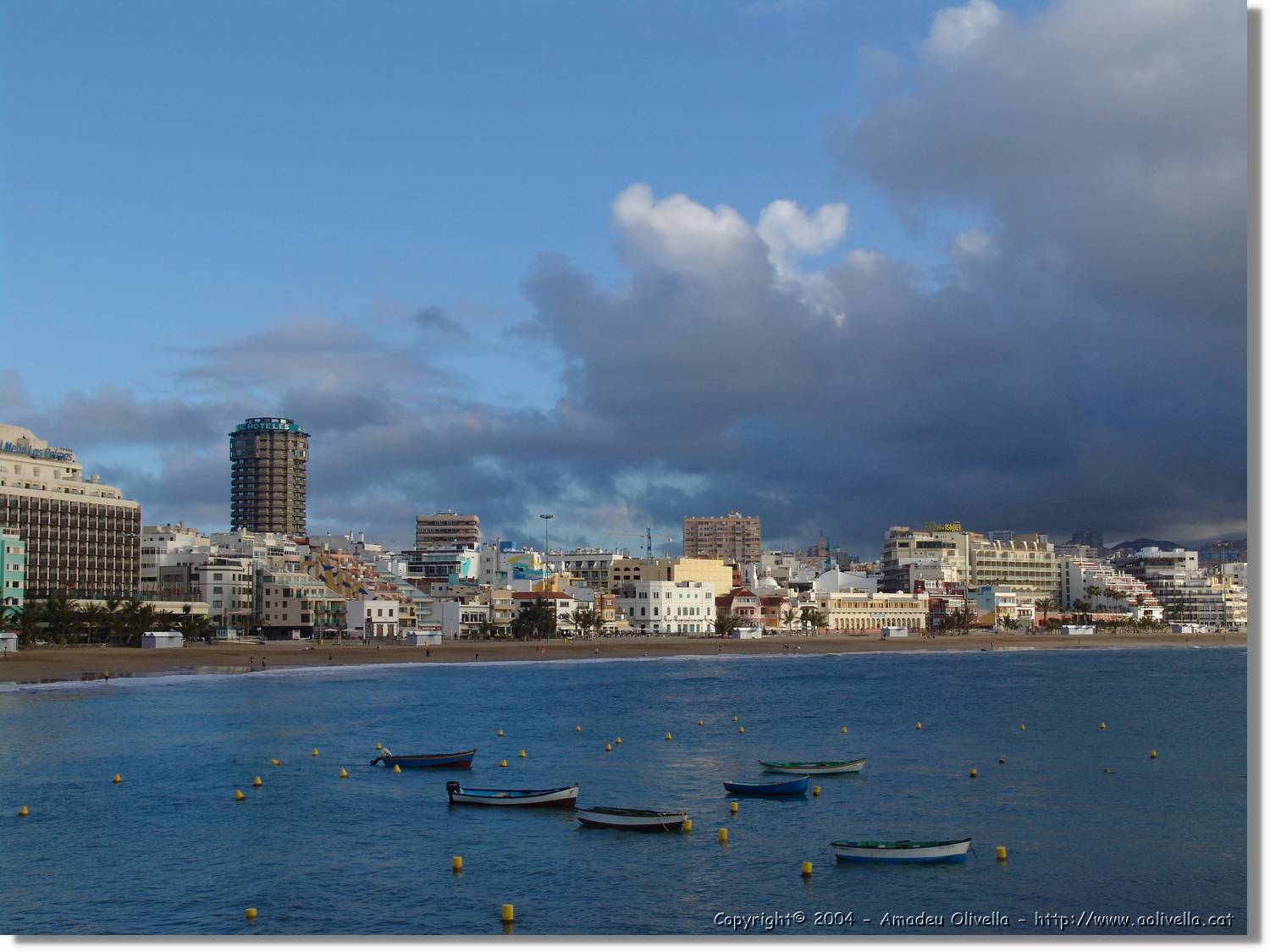 Canaries_076.jpg