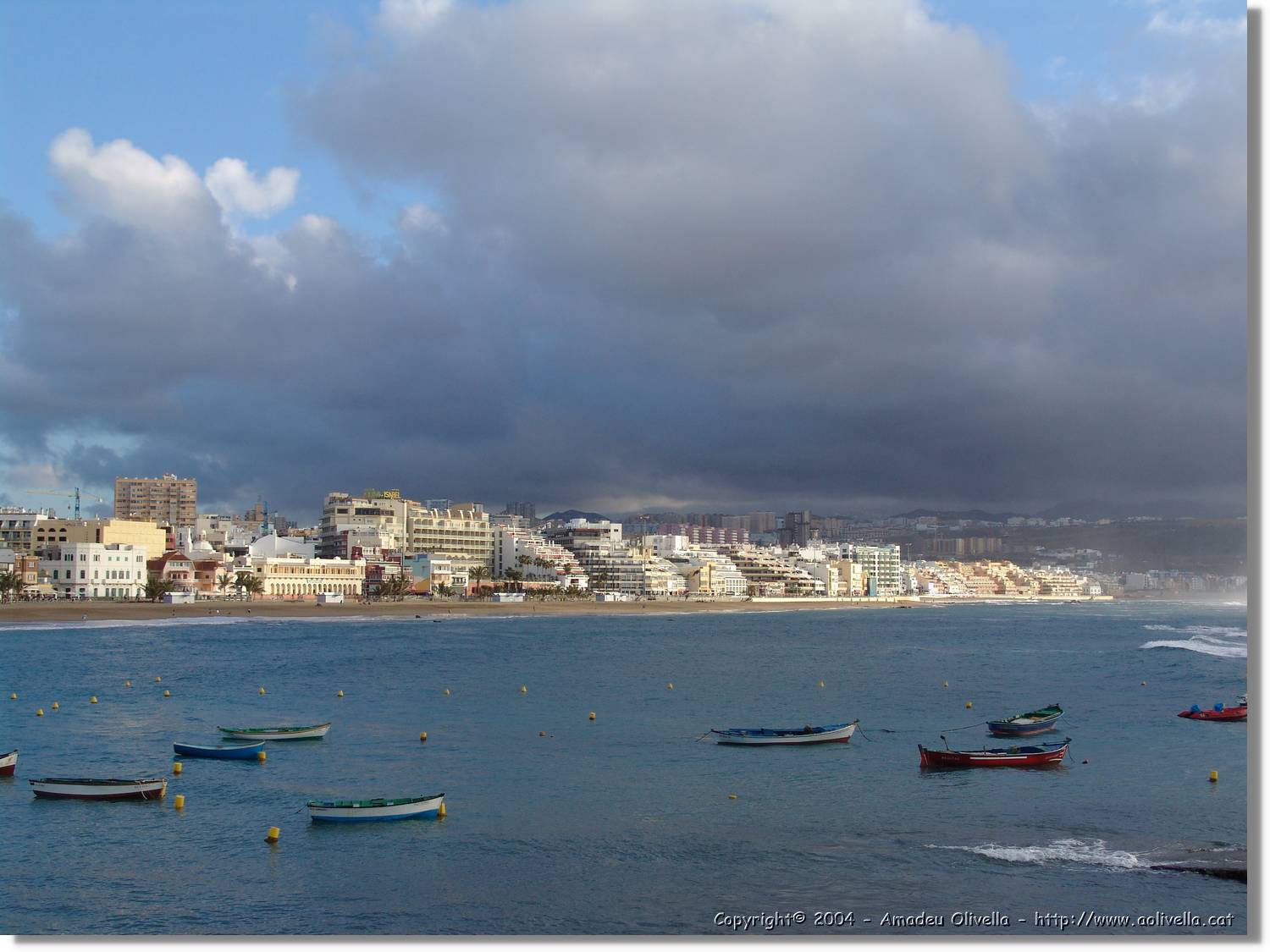 Canaries_077.jpg