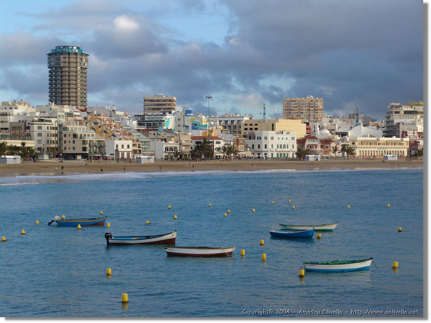 Canaries_078.jpg