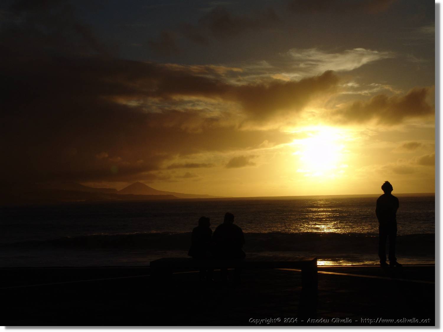 Canaries_080.jpg